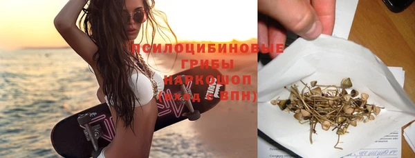 первитин Богданович
