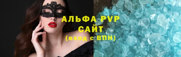 гидра Белокуриха