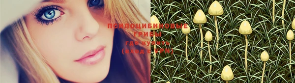 прущая мука Бородино