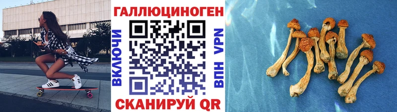 Галлюциногенные грибы MAGIC MUSHROOMS  сайты даркнета телеграм  Обь 